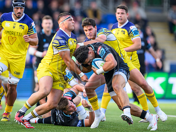 Warriors v Zebre