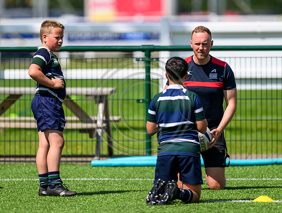 Accelerate Rugby