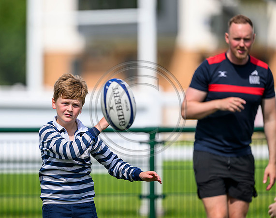 Accelerate Rugby