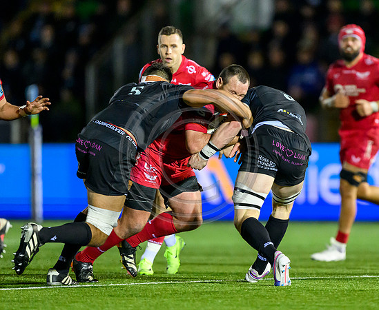 Warriors v Scarlets