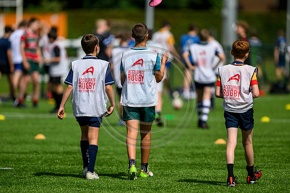Accelerate Rugby