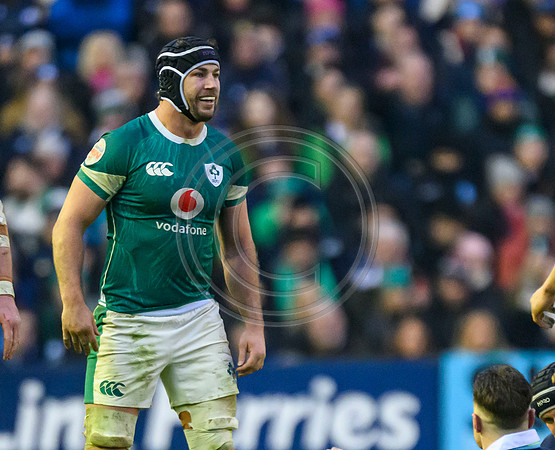 Scotland v ireland