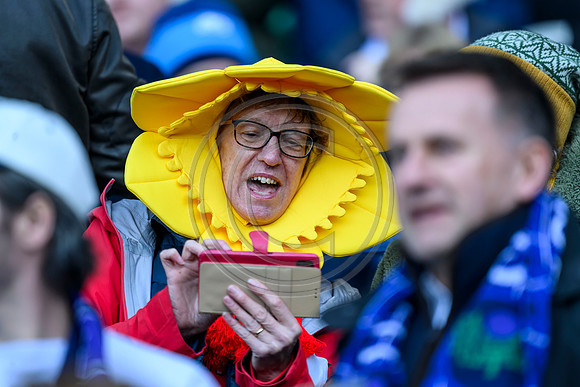 Scotlandv Wales