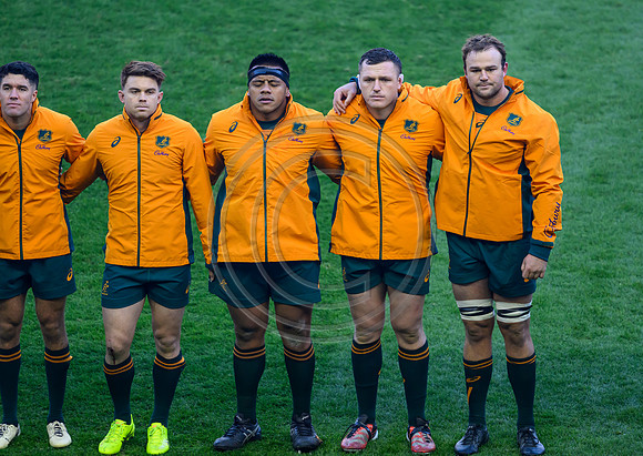 Scotland v Australia