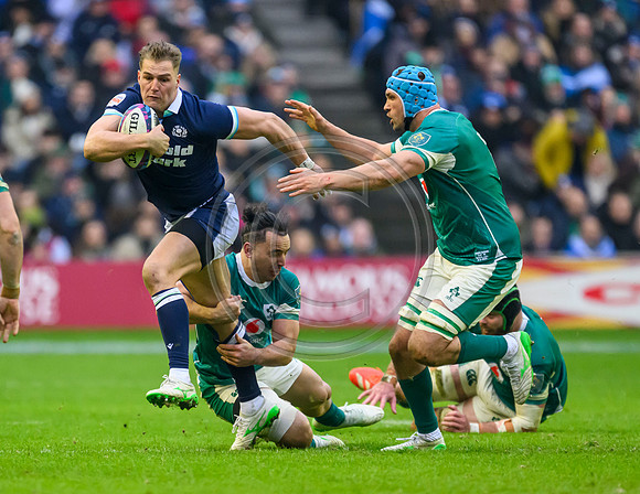 Scotland v ireland