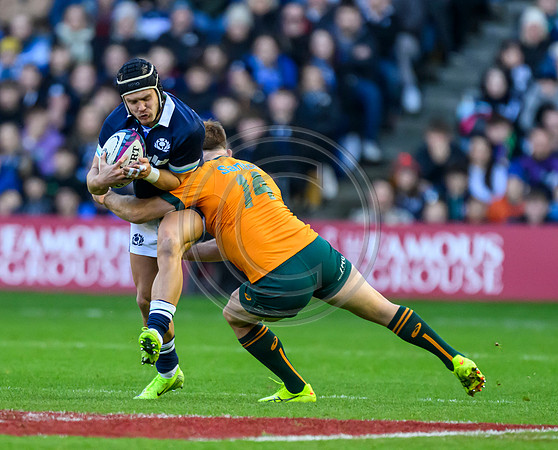 Scotland v Australia