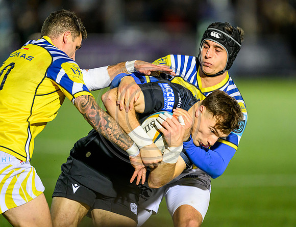 Warriors v Zebre