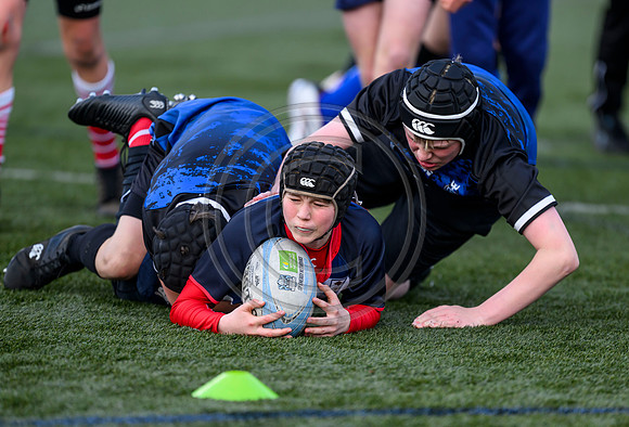 SP Energy Networks Warriors Championships Semi Final