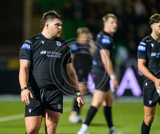 Warriors v Zebre