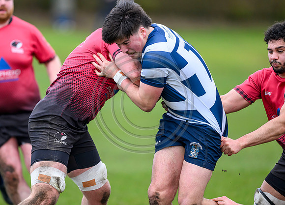 Hawks v Heriots