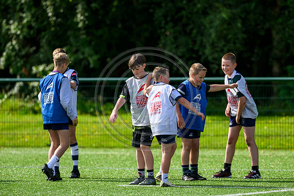 Accelerate Rugby