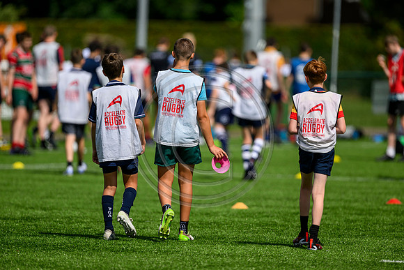 Accelerate Rugby