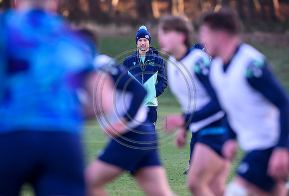 David Nucifora