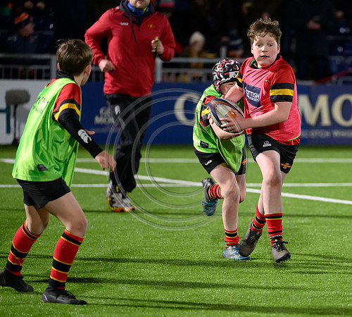 Edinburgh v Cell C Sharks