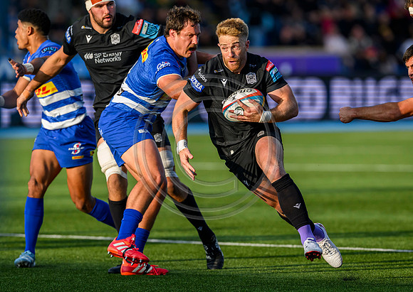 Warriors v Stomers