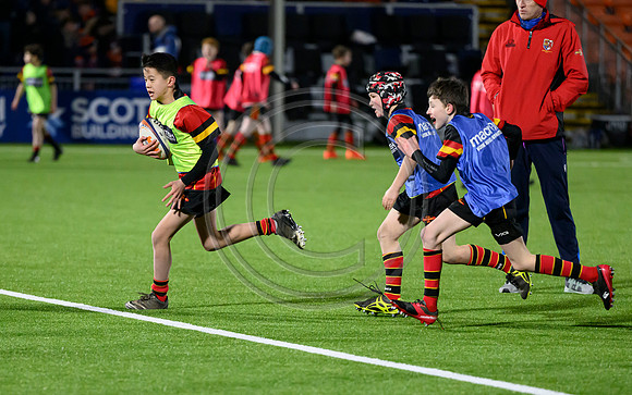 Edinburgh v Cell C Sharks
