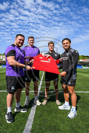 Warriors Lions announcment