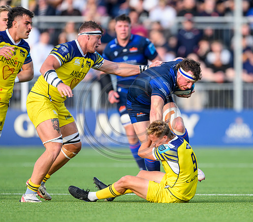 Edinburgh v Zebre