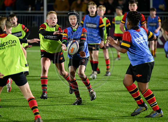 Edinburgh v Cell C Sharks
