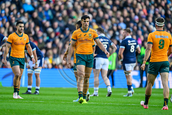 Scotland v Australia