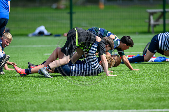 Accelerate Rugby