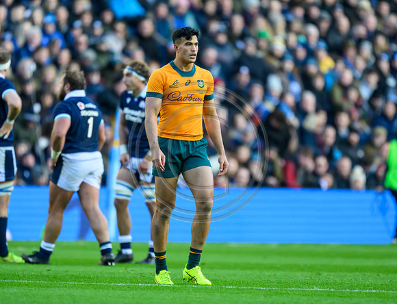 Scotland v Australia