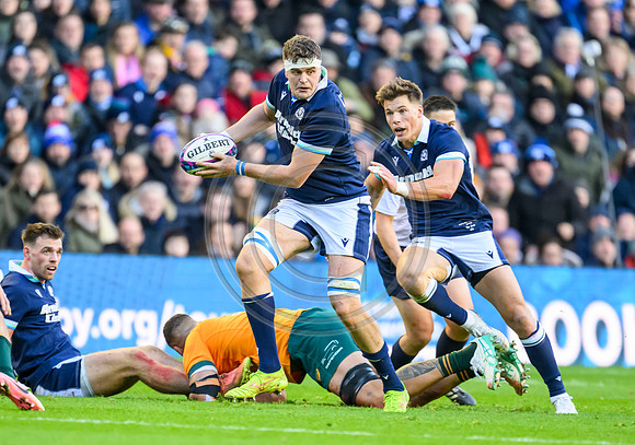 Scotland v Australia