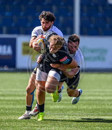 Glasgow Warriors v Black Lions