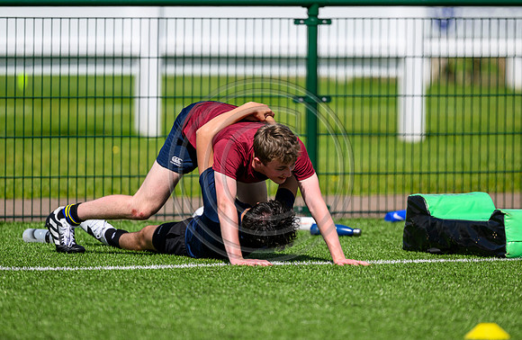 Accelerate Rugby