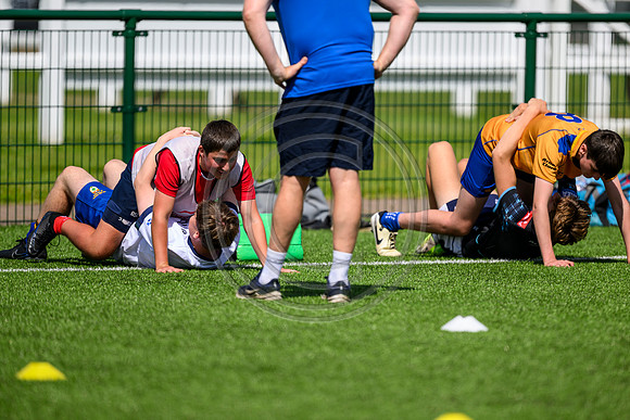 Accelerate Rugby