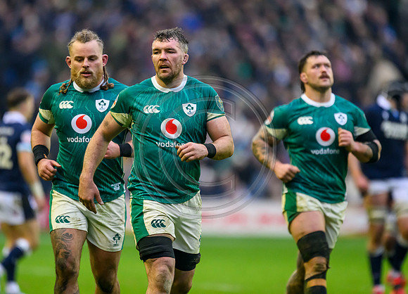 Scotland v ireland