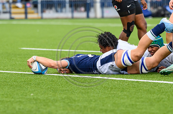 Scotland v Fiji