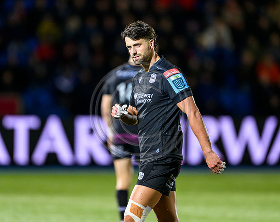 Warriors v Zebre