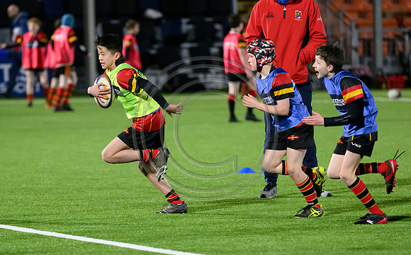 Edinburgh v Cell C Sharks