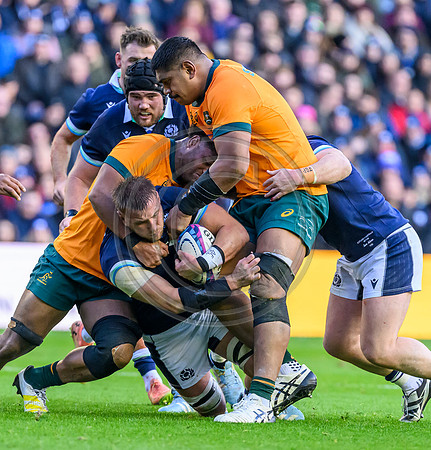 Scotland v Australia