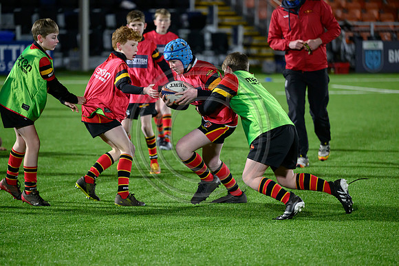 Edinburgh v Cell C Sharks