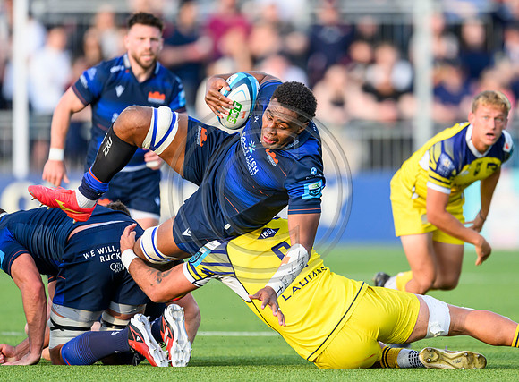 Edinburgh v Zebre