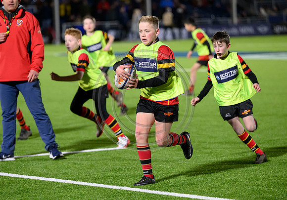 Edinburgh v Cell C Sharks