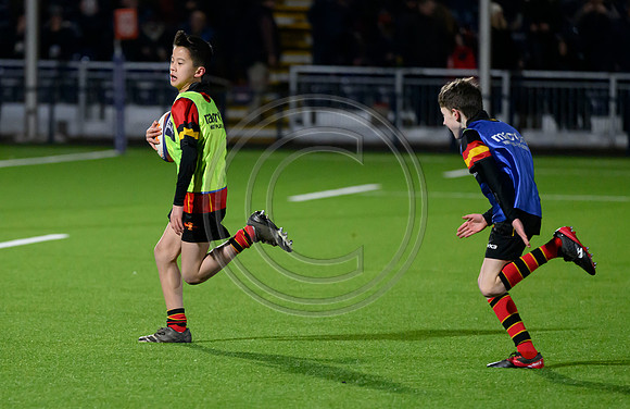 Edinburgh v Cell C Sharks