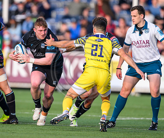 Warriors v Zebre