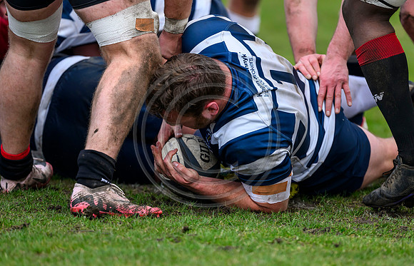 Hawks v Heriots
