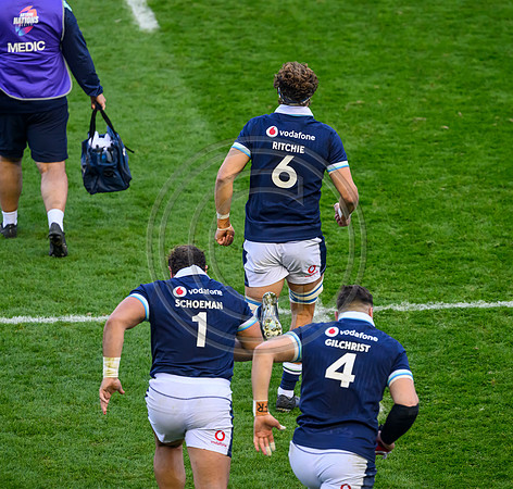 Scotland v Australia