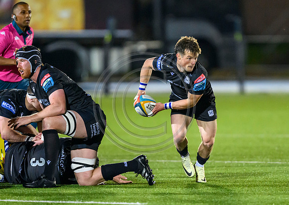 Warriors v Zebre