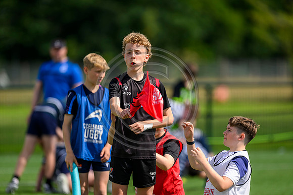 Accelerate Rugby