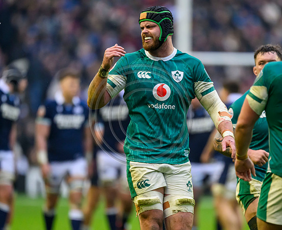 Scotland v ireland