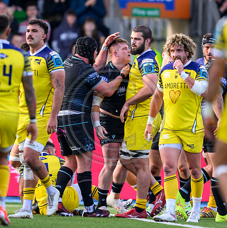 Warriors v Zebre