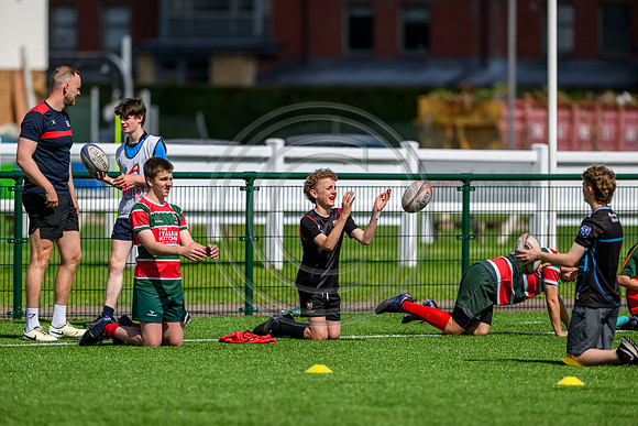 Accelerate Rugby