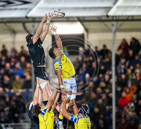 Warriors v Zebre