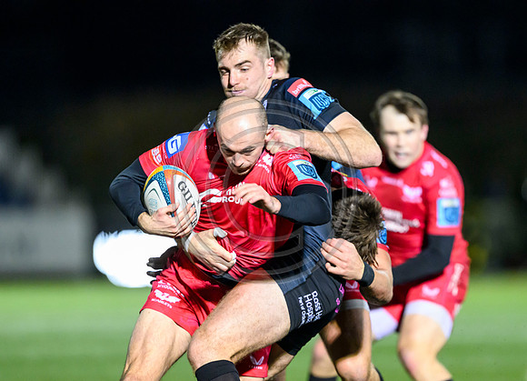 Warriors v Scarlets
