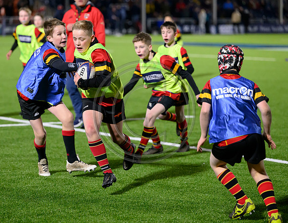 Edinburgh v Cell C Sharks